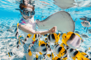 Snorkeling com Raias e Peixes.