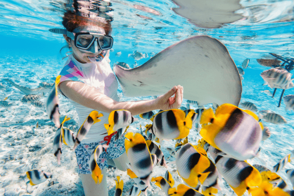 Snorkeling com Raias e Peixes.