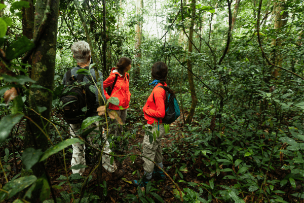Dois turistas em trilha na floresta.