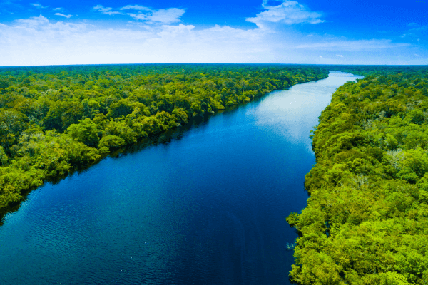 Amazônia, cercado por vegetação vista aérea.