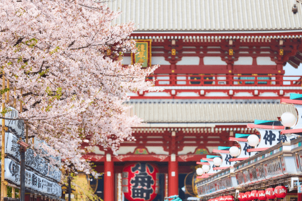 Templo japonês com flores de cerejeira ao fundo.