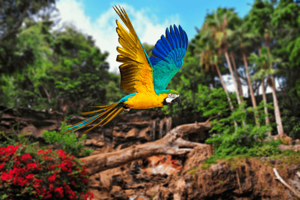 Arara colorida em uma árvore na floresta.