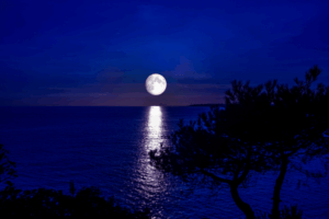 Lua cheia refletida no mar.